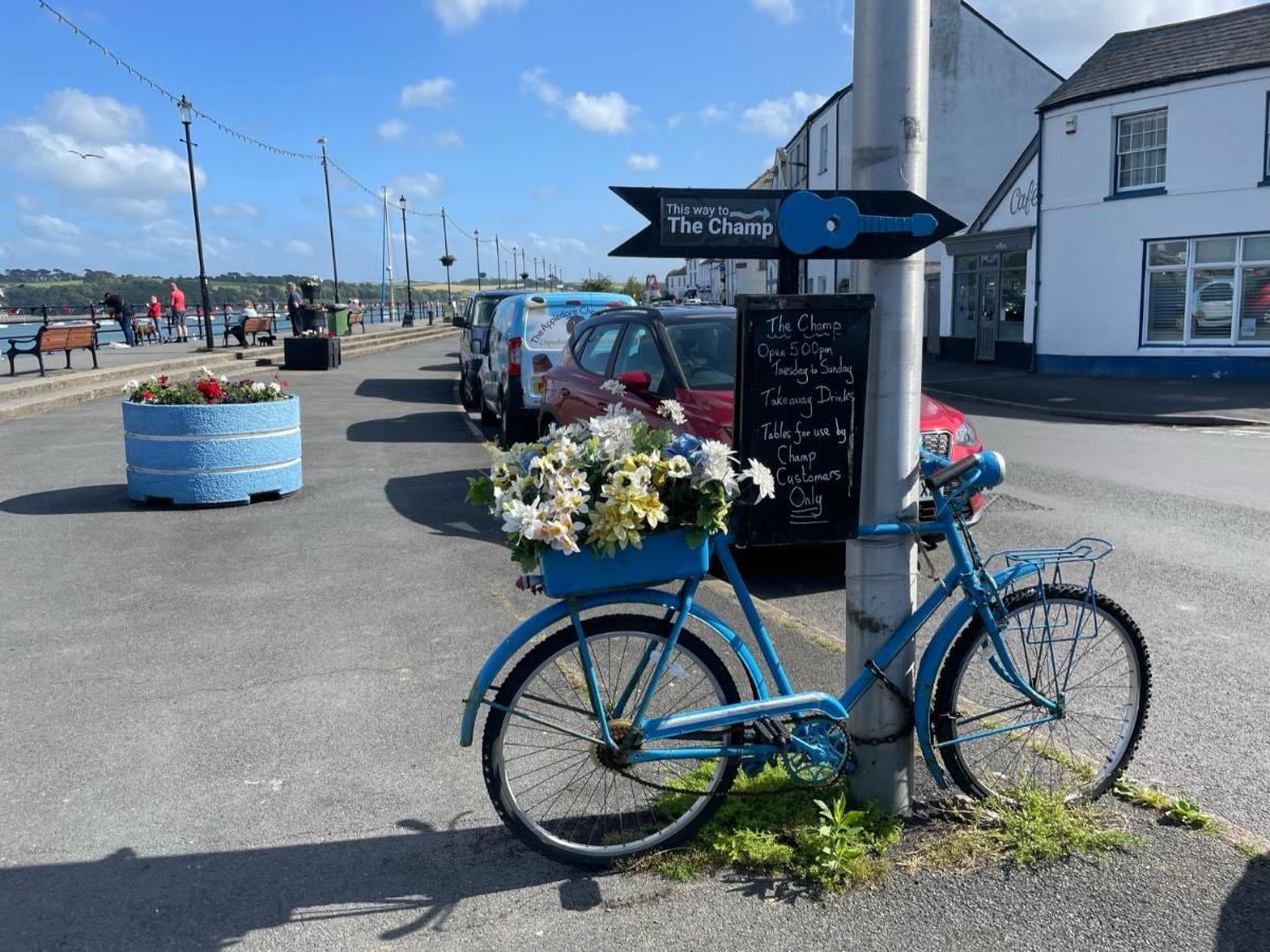 Entire Cozy Chalet In Bideford Bay Holiday Park Экстерьер фото